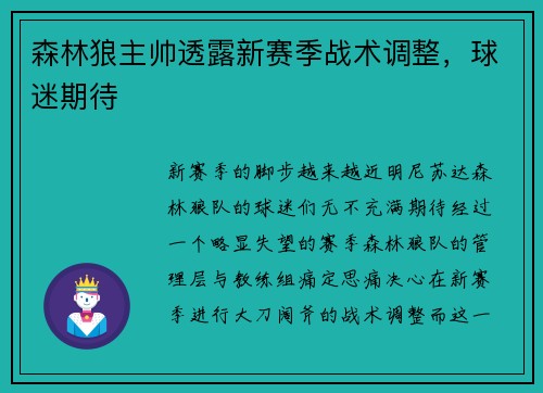 森林狼主帅透露新赛季战术调整，球迷期待