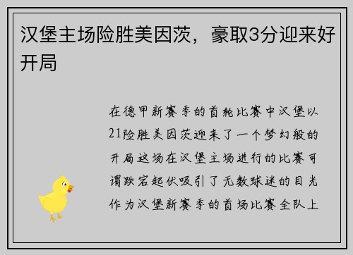 汉堡主场险胜美因茨，豪取3分迎来好开局